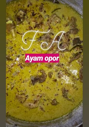 Foto resep Ayam opor bumbu instan