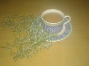 Una foto de té de romero