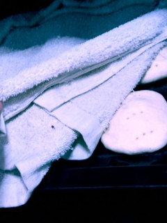 Una foto de Pan amasado...receta infalible