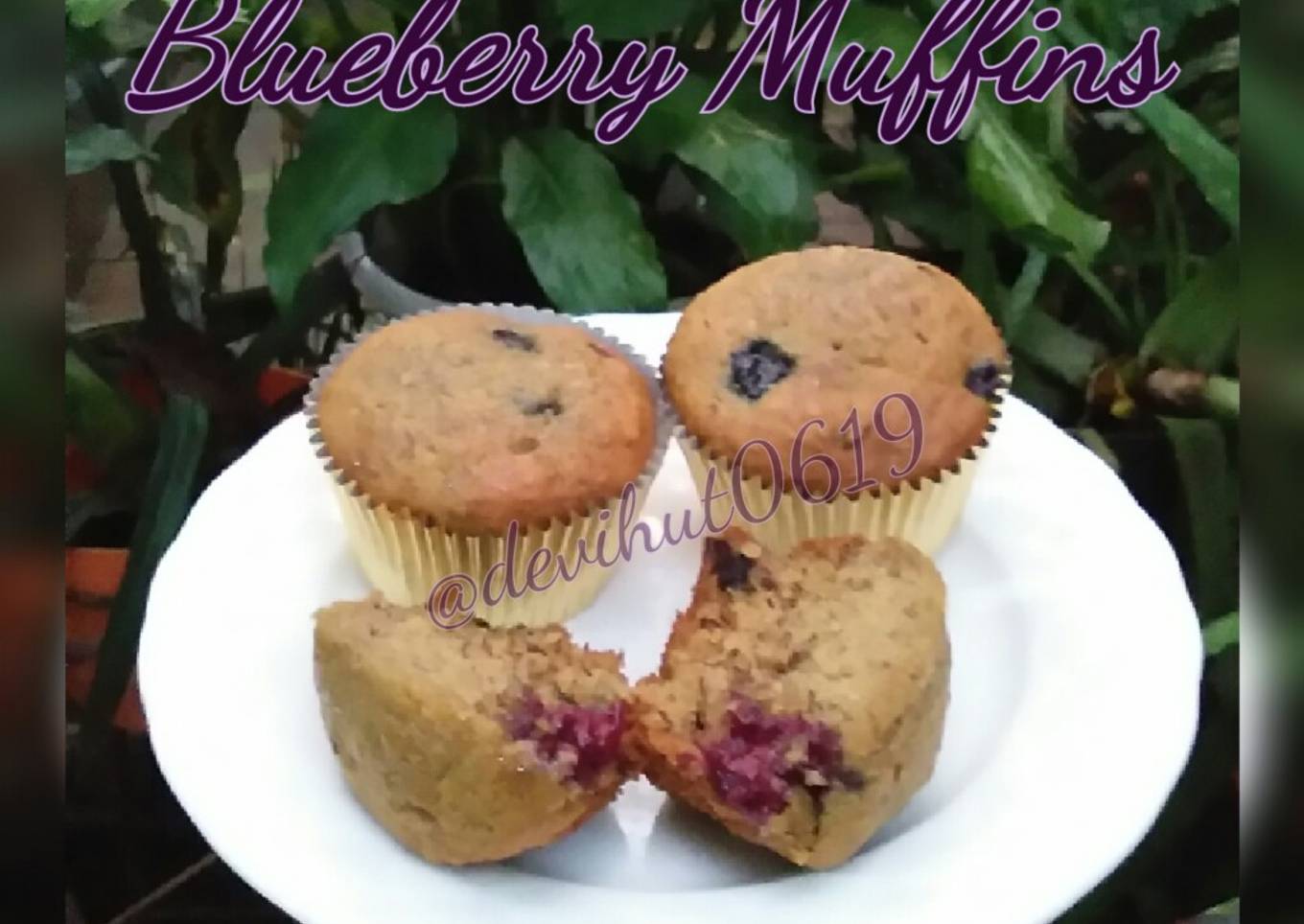 Blueberry Muffins