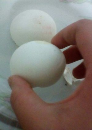 عکسی از دستور پوست تخم مرغ رو دور نریزیم
