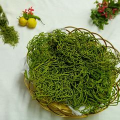 A picture of Palak pudhina sev.