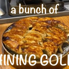 A picture of Gyoza dumplings.
