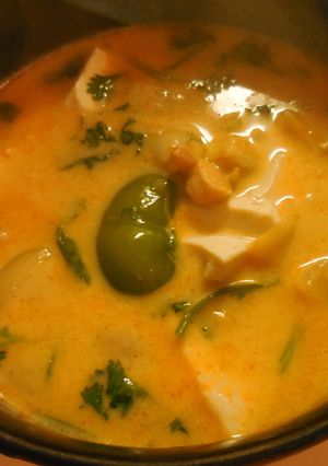 A picture of Thai Red Curry with Chicken & Tofu.