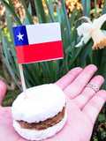 Empolvados 🇨🇱💕