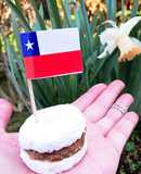 Empolvados 🇨🇱💕