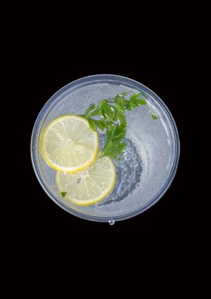 A picture of Virgin mohito.