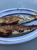 Merlans de ligne farcis et grillés