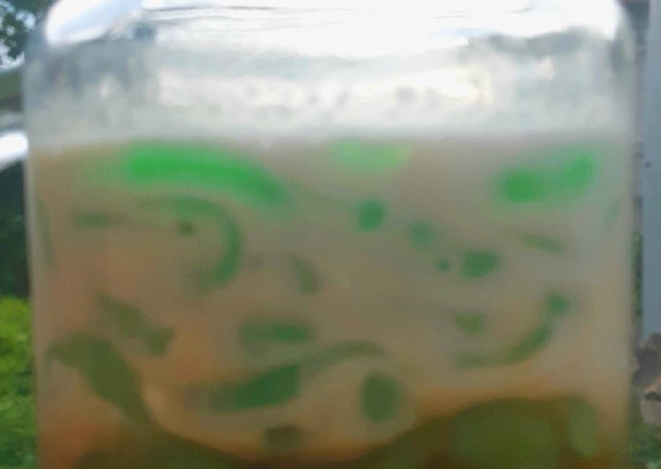 Cendol Nutrijel Melon