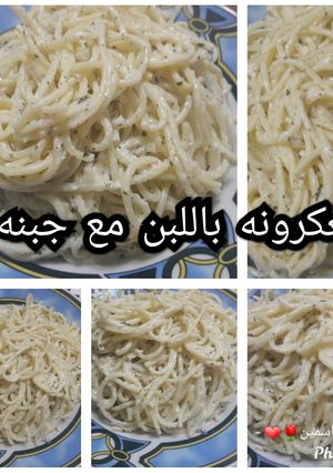 صورة لوصفة معكرونه باللبن مع الجبنة