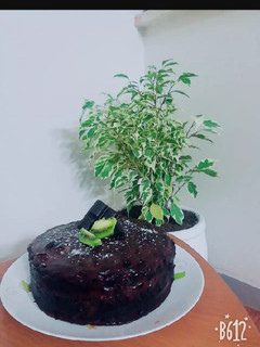عکسی از دستور کیک شکلاتی مخصوص(بی بی)