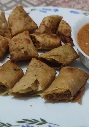 A picture of Veg Spring Rolls.