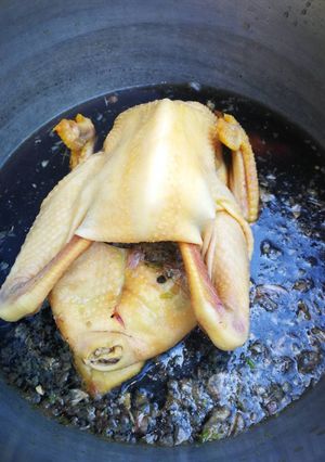 รูปของ ไก่บ้านต้มโค๊ก