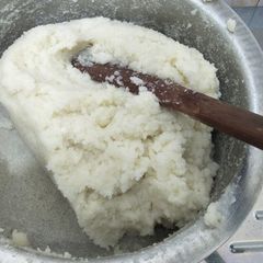A picture of Ugali.