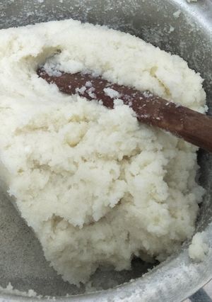 A picture of Ugali.