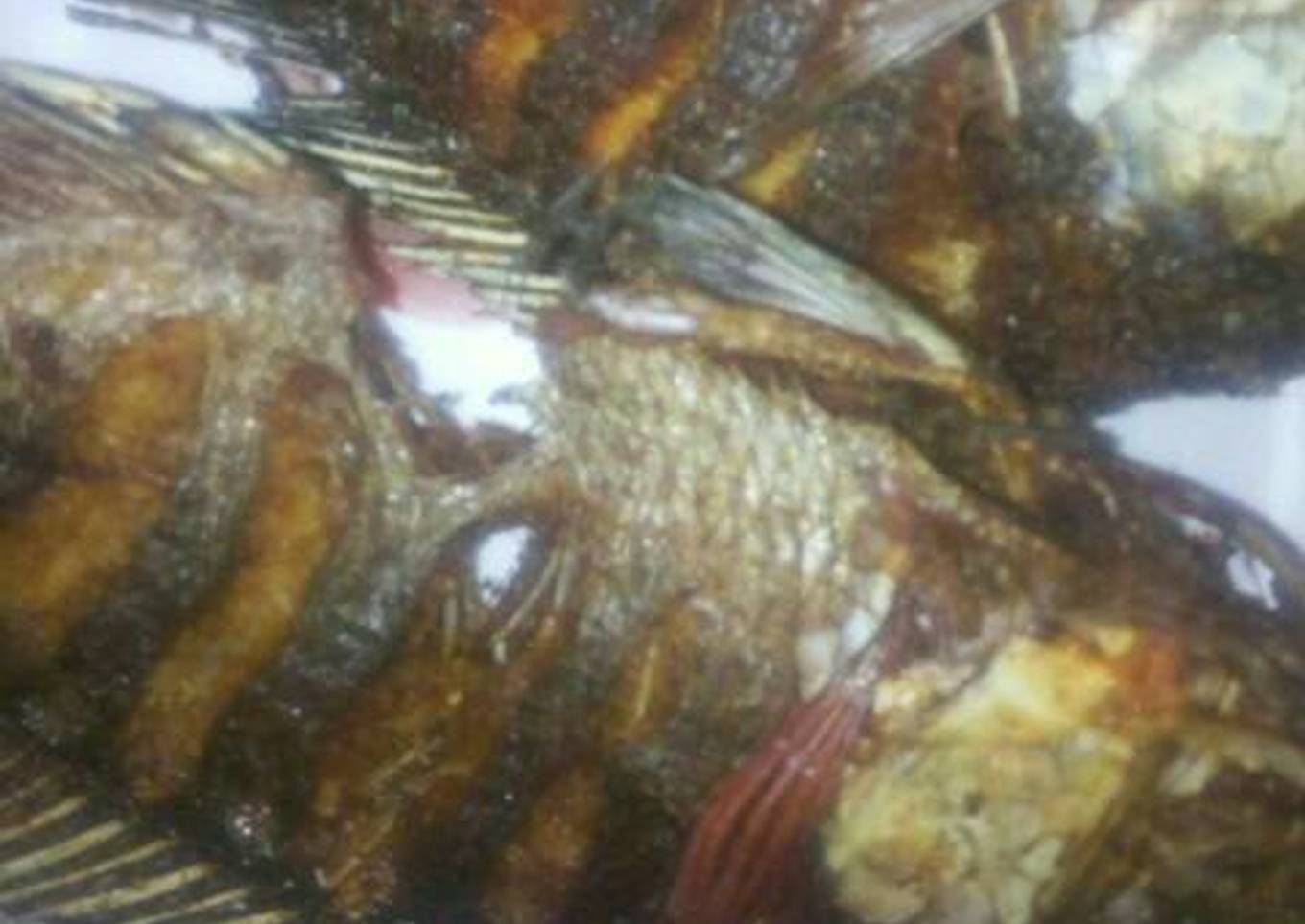Fried fish