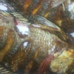 A picture of Fried fish.