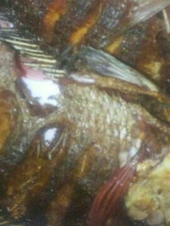 A picture of Fried fish.