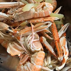 A picture of Langoustines. (aka Scampi).