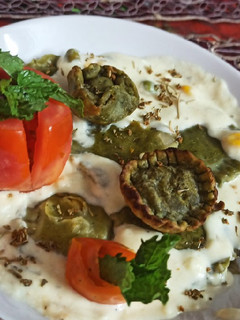 A picture of Spinach Corn Ravioli in white sauce.