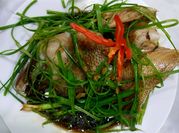 Hình ảnh của cá bống mú hấp hồng kông