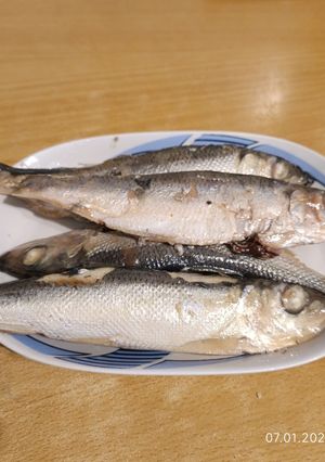 Фото Салака су-від (sous-vide).