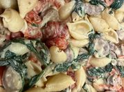A picture of shell pasta