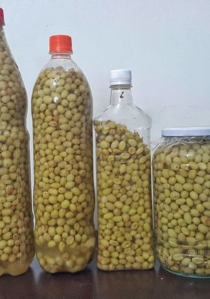 عکسی از دستور غوره شور یا شورغوره
