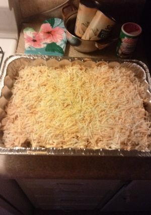 A picture of Mexican Chicken Casserole.
