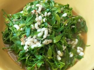 แกงผักหวานไข่มดแดง