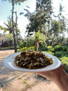 عکسی از دستور ساقه سیر سرخ شده