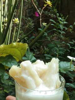 Foto resep Singkong rebus saus santan