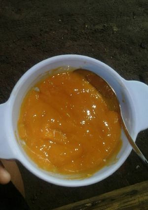 Foto resep Jus mangga MPASI