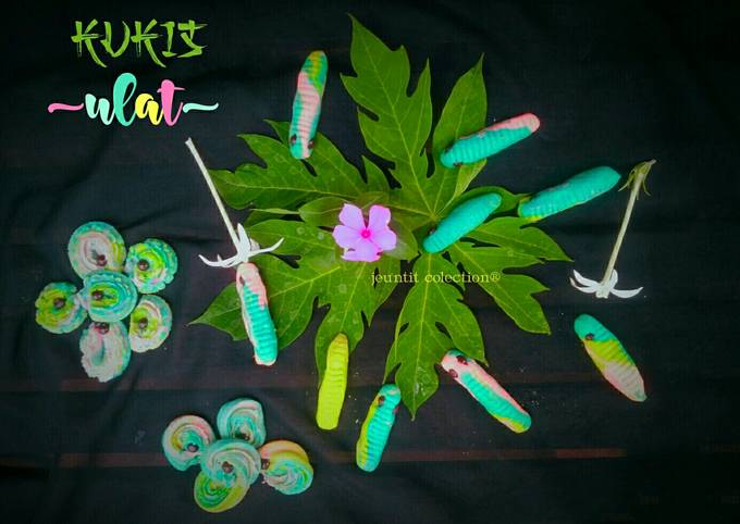 14.Kukis (cookies) ulat