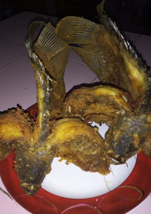 Foto resep Gurame Terbang Sambel Terasi