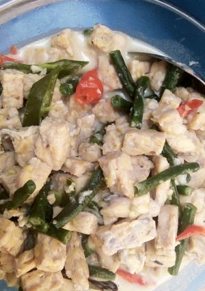 Foto resep Tempe masak santan