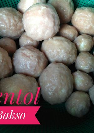 Foto resep Pentol Bakso Telur Ayam /Telur Puyuh /Kecil daging ayam mix sapi
