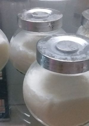 Hình của món Sữa chua nhà làm.
