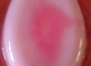 Foto resep Agar rasberry susu