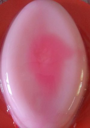 Foto resep Agar rasberry susu