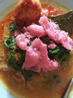 Foto resep Lontong gulai pakis