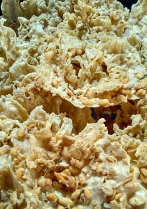 Foto resep Peyek Kedelai Recycle 😁
