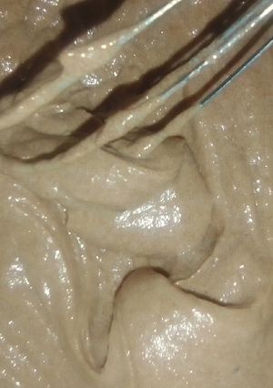 A picture of Chocolate Frosting(Cake or Cupcakes Frosting).