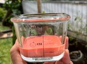 Gambar sayur buah bit