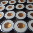 Puding Telur Ceplok