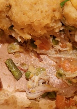A picture of Chicken and dumplings.