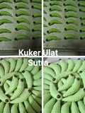 Kuker Ulat Sutra