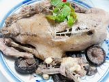 Vịt tiềm nguyên con