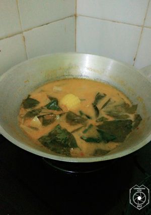 Foto resep Sayur lodeh pedas