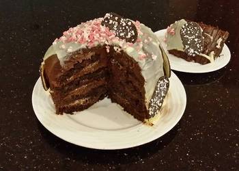 How to Prepare Appetizing Chocolate Peppermint Crunch Layer Cake